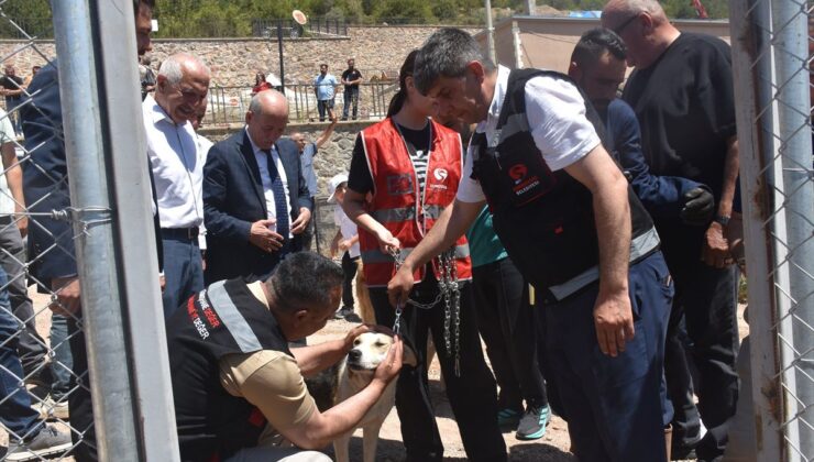 Gümüşhane’de sahipsiz hayvanlar için doğal yaşam alanı açıldı