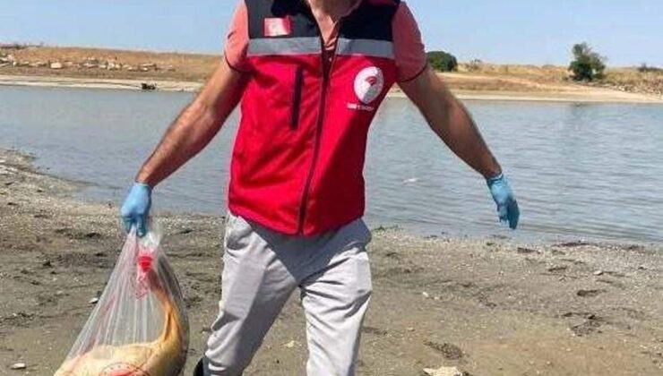 Hayrabolu’da Gölette Toplu Balık Ölümleri: İnceleme Başlatıldı