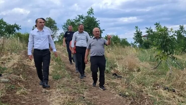 İskilip’te çilek ve ceviz üretiminde inceleme