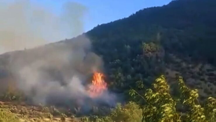 İslahiye’de Orman Yangını 1 Saatte Kontrol Altına Alındı