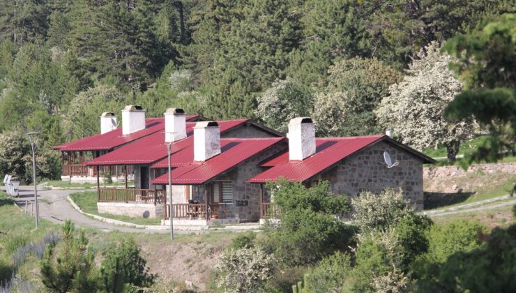 Karagöl Mesire Alanı’nda kamp, çadır ve karavanla konaklama yasaklandı