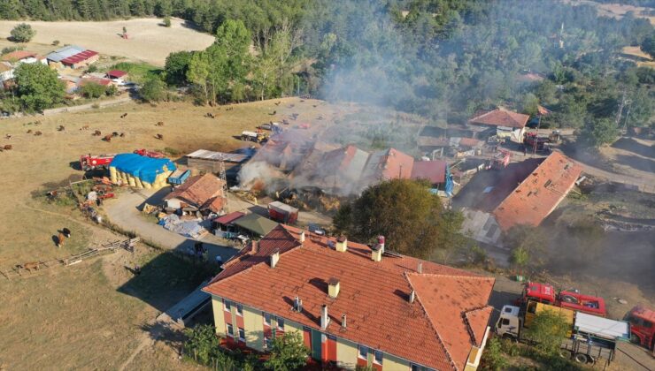 Kastamonu’da ahır yangını: 14 hayvan telef oldu