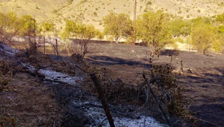 Keban’da ağaçlık alanda çıkan yangın söndürüldü