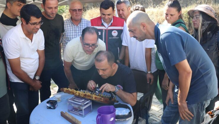 Keşan’da Arıcılara Ana Arı Yetiştiriciliği Eğitimi