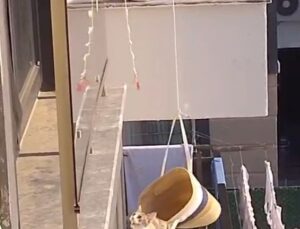 Klimada Mahsur Kalan Kedi Plaj Çantasıyla Kurtarıldı