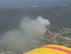 Marmara Adası’nda orman yangını