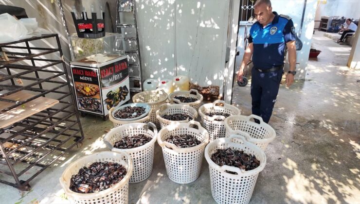 Mersin’de 200 kg bozuk midye dolma imha edildi