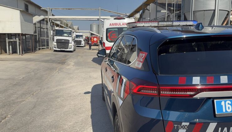 Mudanya’da Tavuk Çiftliğinde Yangın: 12 Bin Tavuk Telef Oldu