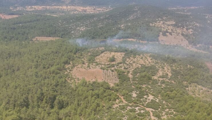 Muğla’da orman yangını kontrol altına alındı