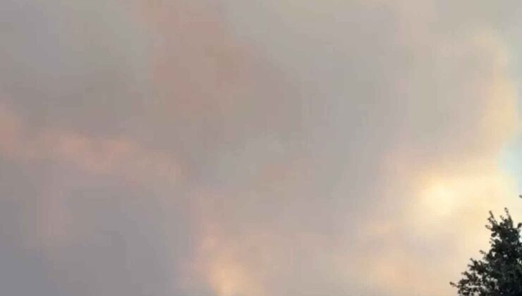 Muğla’dan Yayılan Orman Yangınına Müdahale Sürüyor