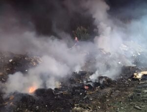Ödemiş’te otluk alan yangını söndürüldü