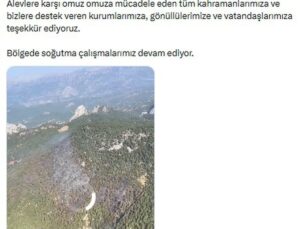OGM: Manavgat’taki yangın kontrol altına alındı