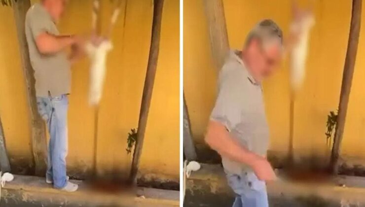 Okul bahçesinde tavşan kestiği görüntüler sanal medyada paylaşılan şüpheli gözaltına alındı