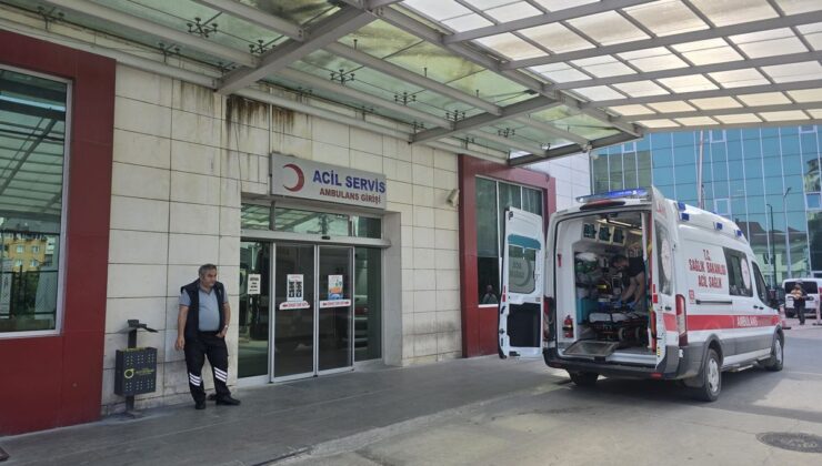 Ordu’da Doğadan Toplanan Mantar Zehirledi: Yaşlı Çift Hastanelik Oldu