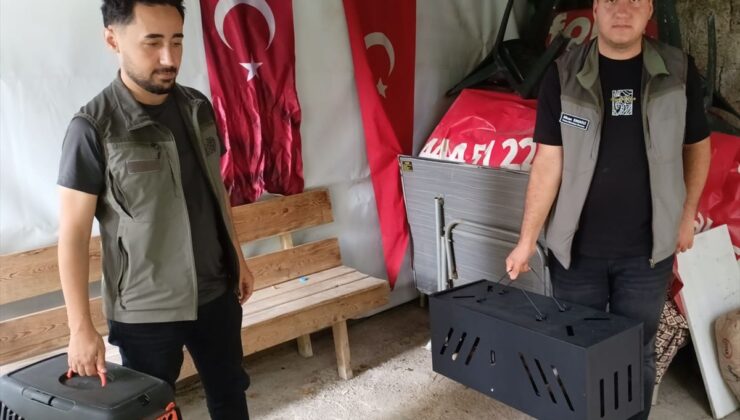 Reşadiye’de Çukura Düşen Tilki Yavrusu Kurtarıldı