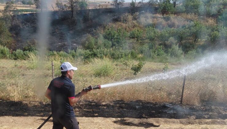 Siirt’te Anız Yangını Meyve Bahçesine Sıçradı