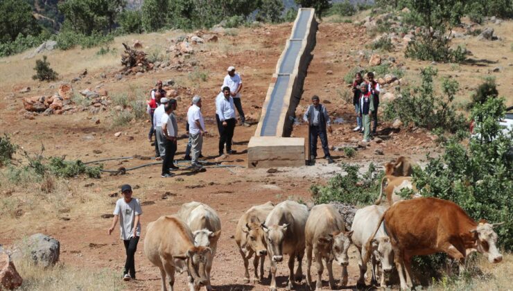 Siirt’te Mera Projeleriyle Besicilere Konfor