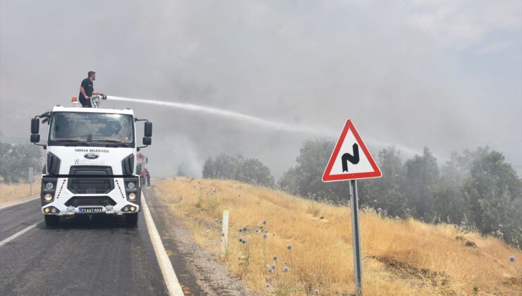 Şırnak’ta ormanlık alana sıçrayan yangına müdahale ediliyor