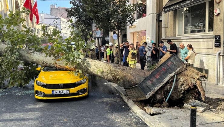 Şişli’de devrilen ağaç hasara yol açtı