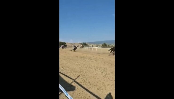 Taşköprü Sarımsak Festivali’nde At Yarışı Kazası: 2 At Öldü, Jokey Yaralandı