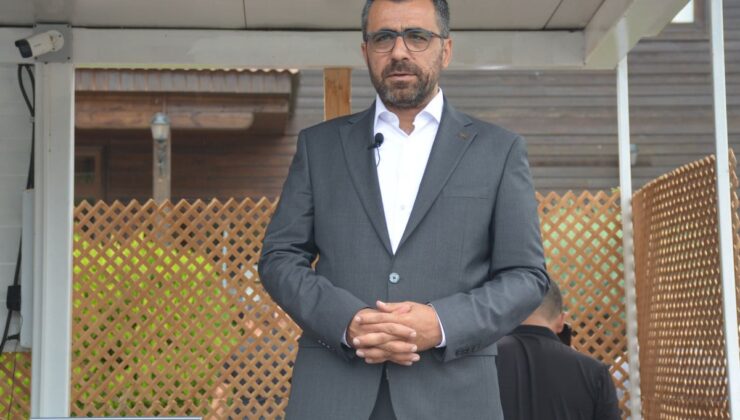 TİGEM Safkan Arap Tayları Açık Artırmada 27,5 Milyon Liraya Satıldı