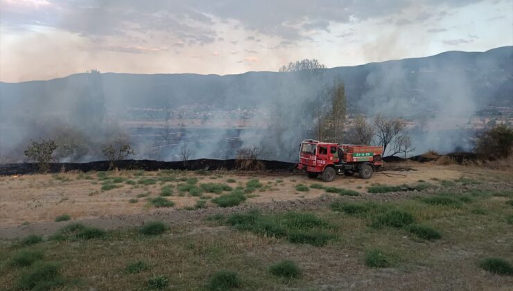 Tosya’da anız yangını: 400 dekar tarım arazisi zarar gördü