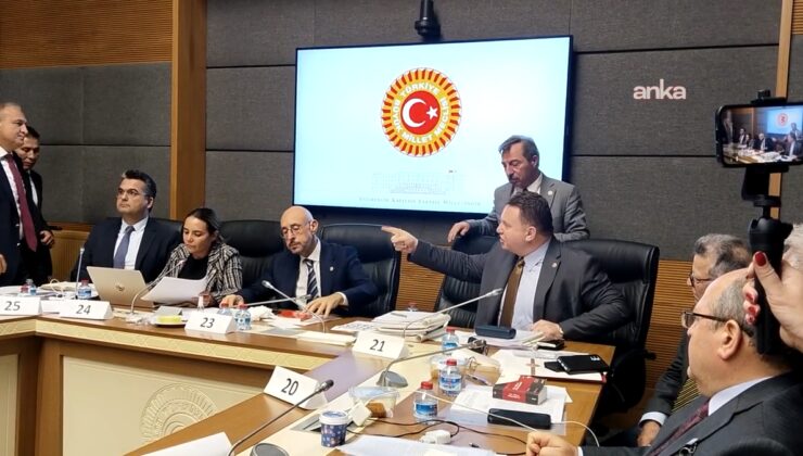 Türkeş’ten Bülbül’e tepki: Dehşet verici