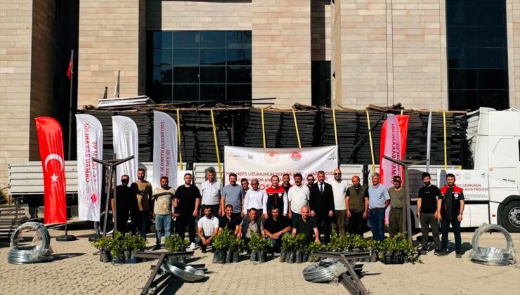 Uludere’de üreticilere kıtılnefs üzümü fidanı ve ekipman dağıtıldı