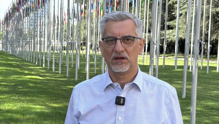UNECE: Avrupa’da bu yıl orman yangınları 600 bin hektarı etkiledi