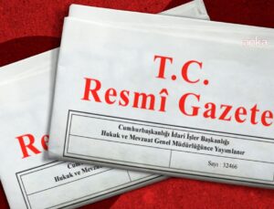 Üniversitelerde yeni fakülte ve enstitü düzenlemesi