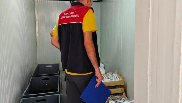 Vize’de Palamut Avcılığı Denetimi