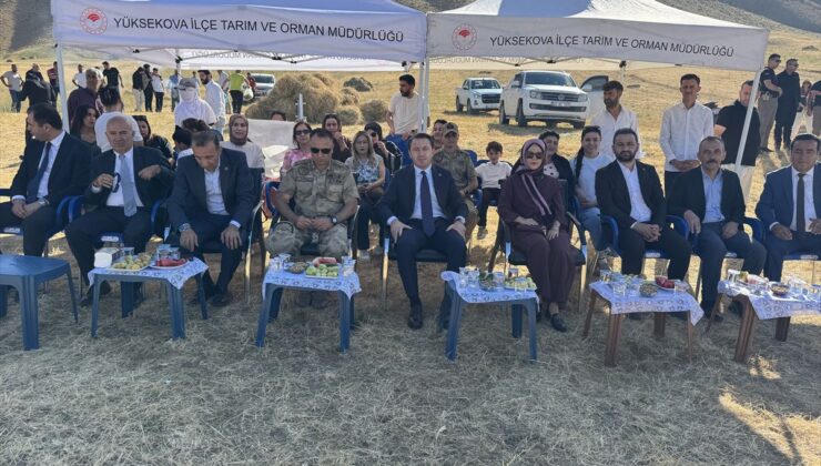 Yüksekova’da Kadın Kooperatifinin Nohut Hasadı