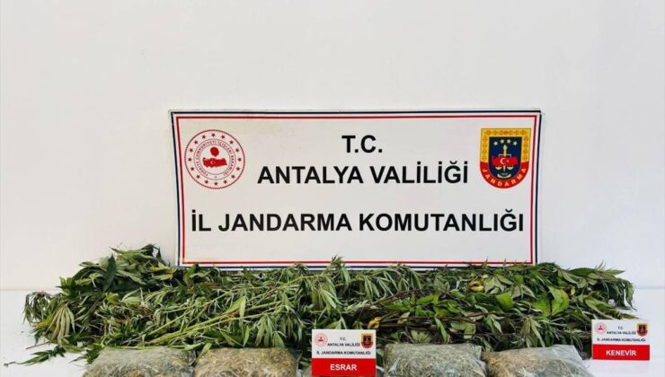 Alanya’da Uyuşturucu Operasyonu: 1 Gözaltı