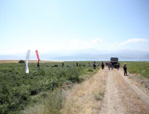 Bitlis’te Domates Hasadı Sürüyor: Vali Karakaya Üreticileri Ziyaret Etti