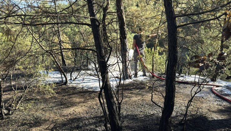 Karabük’te Orman Yangını Söndürüldü