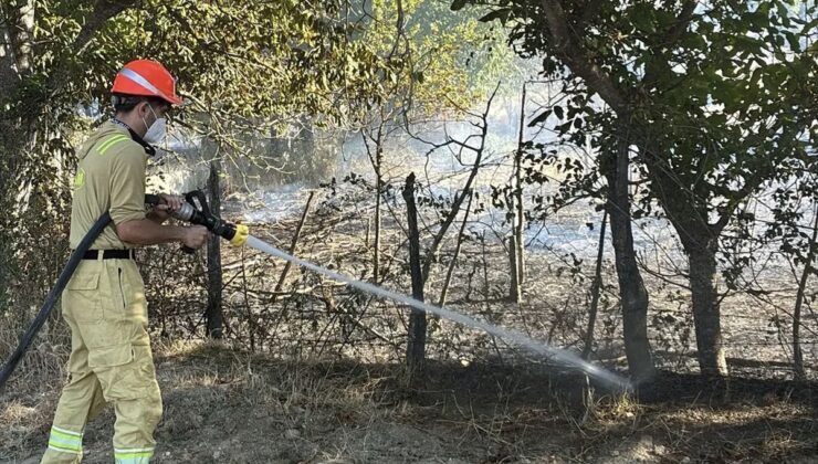 Kastamonu’da Mezarlık Yangını Ormana Sıçradı, Söndürüldü
