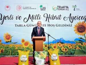 Kırklareli’nde Yerli Hibrit Ayçiçeği Hasadı