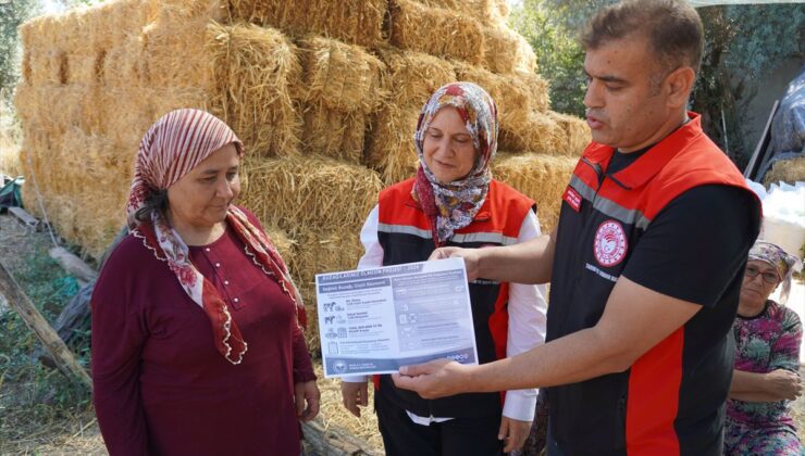 Muğla’da Yeni Doğan Buzağılara 24 Saat İçinde Müdahale