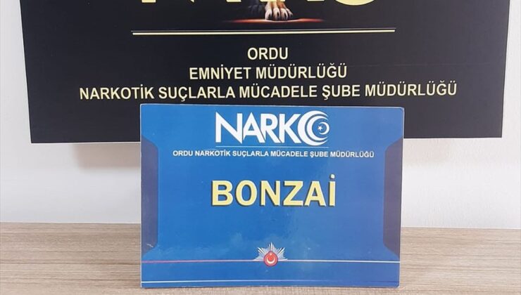 Ordu’da Torbacı Operasyonu: 1 Tutuklama