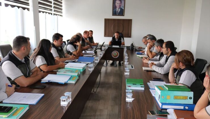 Orman İşletmeleri 2027 Bütçe Hazırlıkları