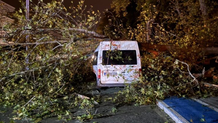 Samsun’da rüzgardan devrilen ağaç araca zarar verdi