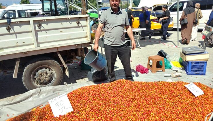 Taşova’da Kuşburnu Pazarı İlgi Görüyor