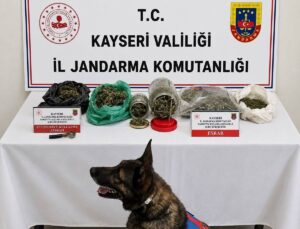 Yahyalı’da Kubar Esrar Operasyonu